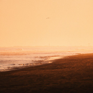 You Get What You Give