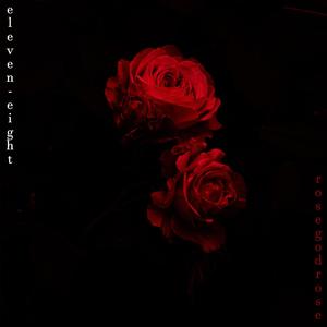 CANNOT SOUND SIMILAR (Explicit)