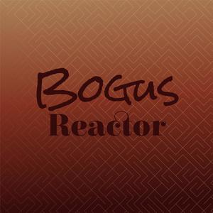 Bogus Reactor