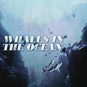 Whales In The Ocean (Explicit)