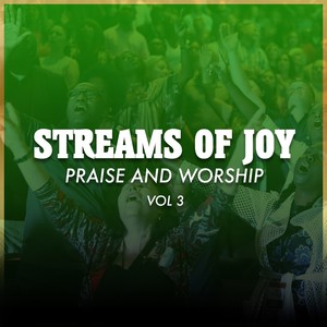 Praise And Worship, Vol.3