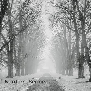 Winter Scenes