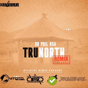 TruNorth (feat. Blaqhope) (Afro Brotherz Spirit Remix)