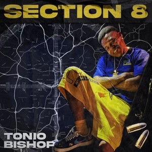 Section 8 (Explicit)