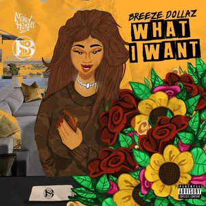 What I Want (Explicit)