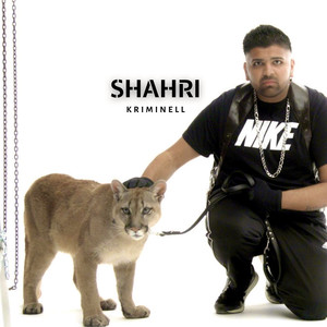 Kriminell (Explicit)