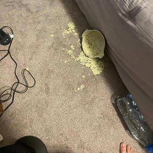 ****ing NIGHTMARE (feat. Cuhrishna) (Explicit)