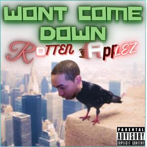 WONT COME DOWN (Explicit)