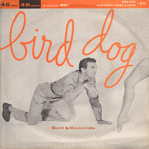 Bird Dog