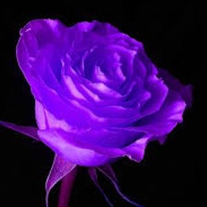 Bloody Hands (Explicit)