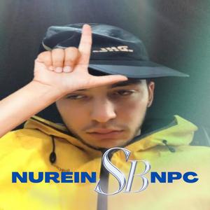 nureinnpc (Explicit)