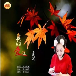 真的爱你 (伴奏)