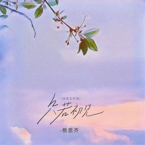 熊思齐 - 只若初见 (温柔女声版)