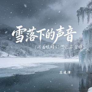 雪落下的声音（闭着眼睛幻想它不会停）