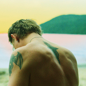 Dansende Gennem Livet