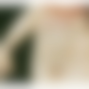 Jacopo Peri - Hor che gli augelli