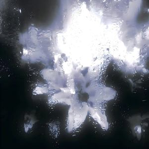 我无法挽留