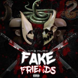 Fake Friends (Explicit)