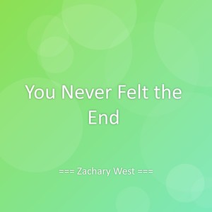 You Never Felt the End