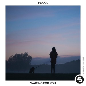 Waiting for You (Extended Mix)