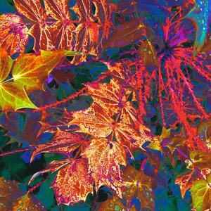 VIGILANTE (Prod. Ghowste) (Explicit)