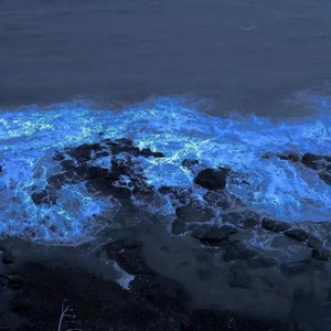 东南亚迷幻Vol1