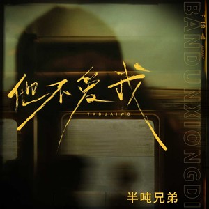 他不爱我 (DJ九零版)