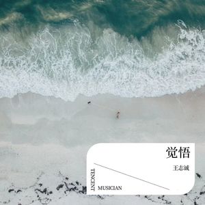 觉悟封面