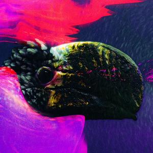 Human (feat. JUSTCHA)