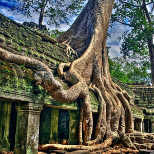 Fidelity (Radio Edit)