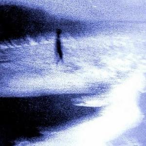 WRONG IDEA (feat. Danny Haile)