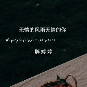 无情的风雨无情的你