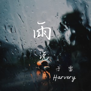 雨说 (伴奏)