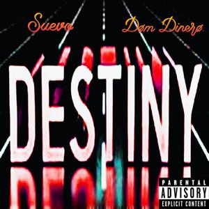 Destiny (feat. Suevo) [Explicit]