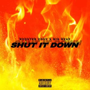 Shut It Down (Explicit)