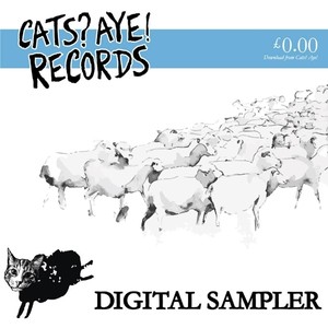 Digital Sampler 2013