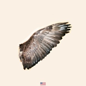 Broken Wings(feat. Sirena Grace)