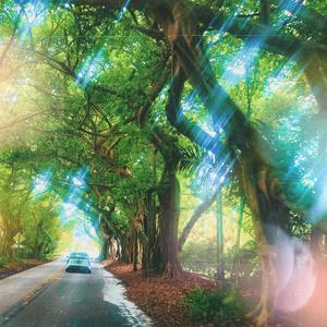 who do you love? (feat. Bri4n)