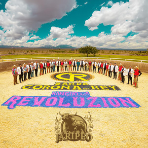 El Son Del Tlacololero (En Vivo)