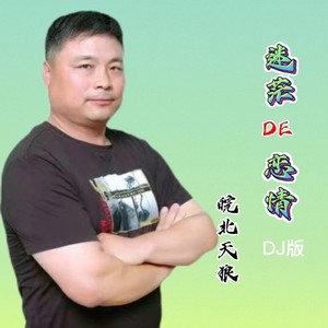 迷茫的恋情DJ (伴奏)
