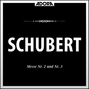 Messe No. 3 für Chor und Orgel in B-Flat Major, D. 324 - No. 3, Credo