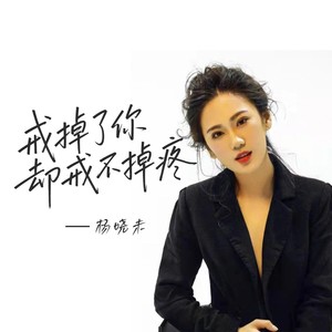 戒掉了你却戒不掉疼 (伴奏)