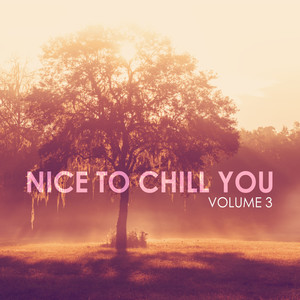 Nice to Chill You, Vol. 3