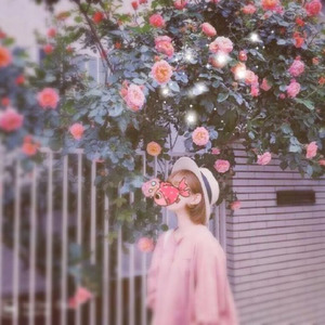 我想我不会爱你 (Single Version)