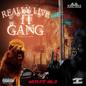 Wildlife Vol. 3 (Really Live It Gang) [Explicit]