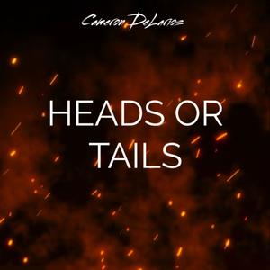 Heads Or Tails