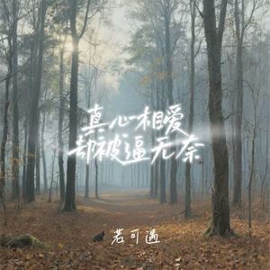 真心相爱却被逼无奈