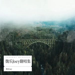 魏乐Joey翻唱集