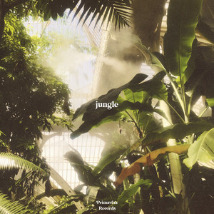 Jungle