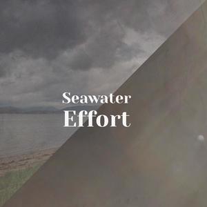 Seawater Effort